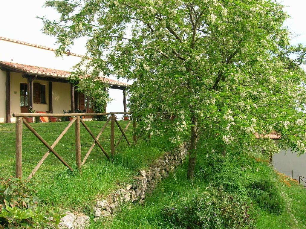 Casa Vacanze La Venarella Sorano  Rom bilde